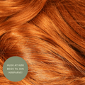 Inebrya Color Hårfarve - 7/44 (lys brun intens kobber)